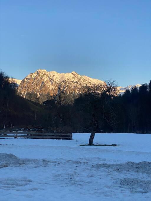 Gruenes Stueble Allgaeuer Alpen Sonthofen Kültér fotó